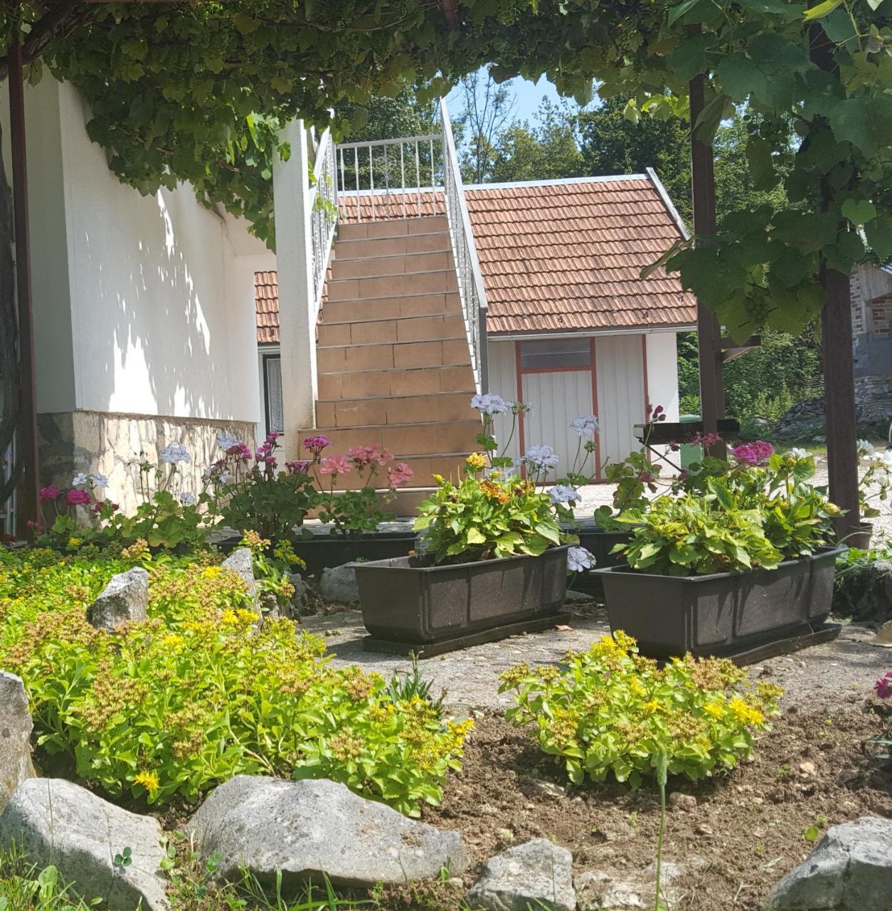 House Luketic Hotell Rastovača Exteriör bild